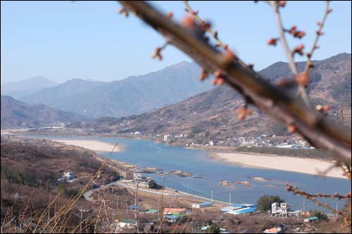 세속에서 저만치 벗어난 매화가 확트인 섬진강을 내려다 보고 있다. 